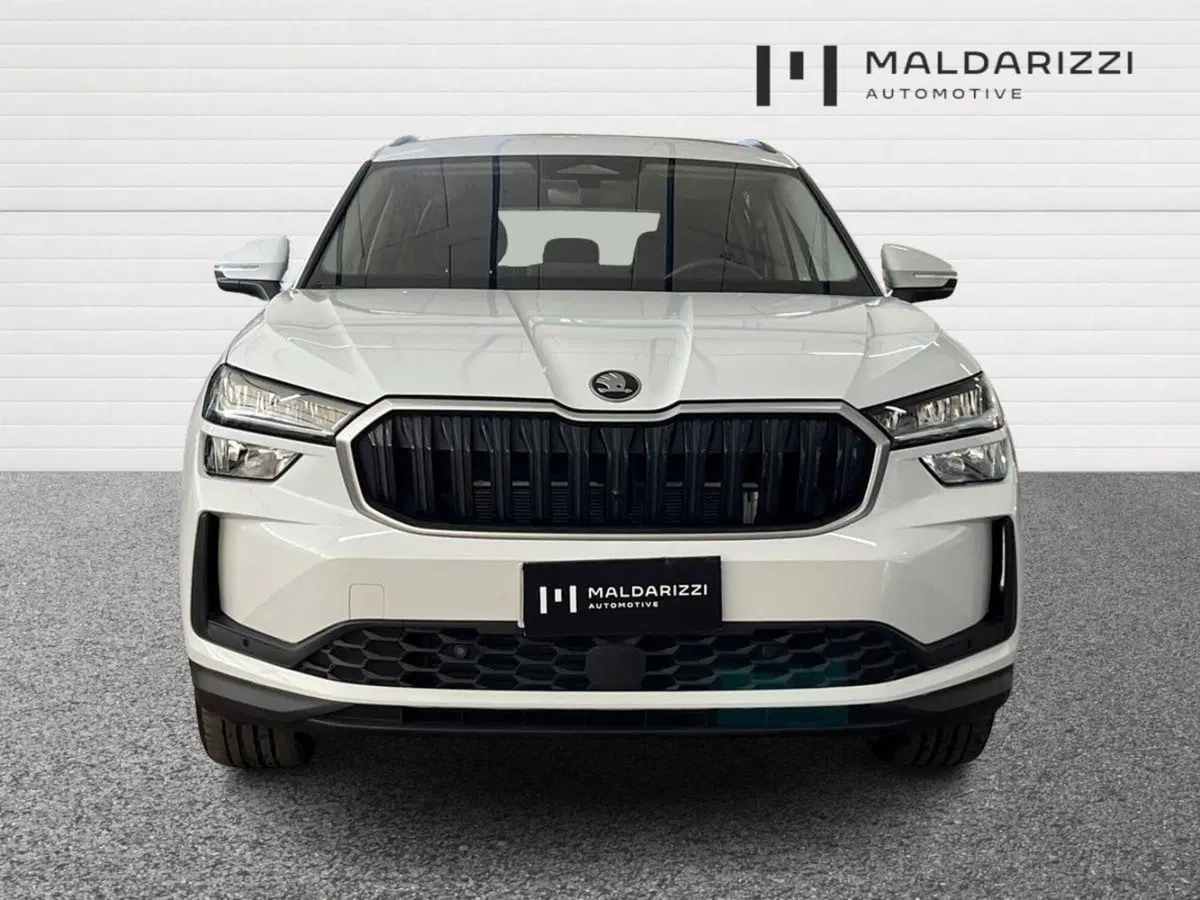 Skoda Kodiaq usata a Bari (2)