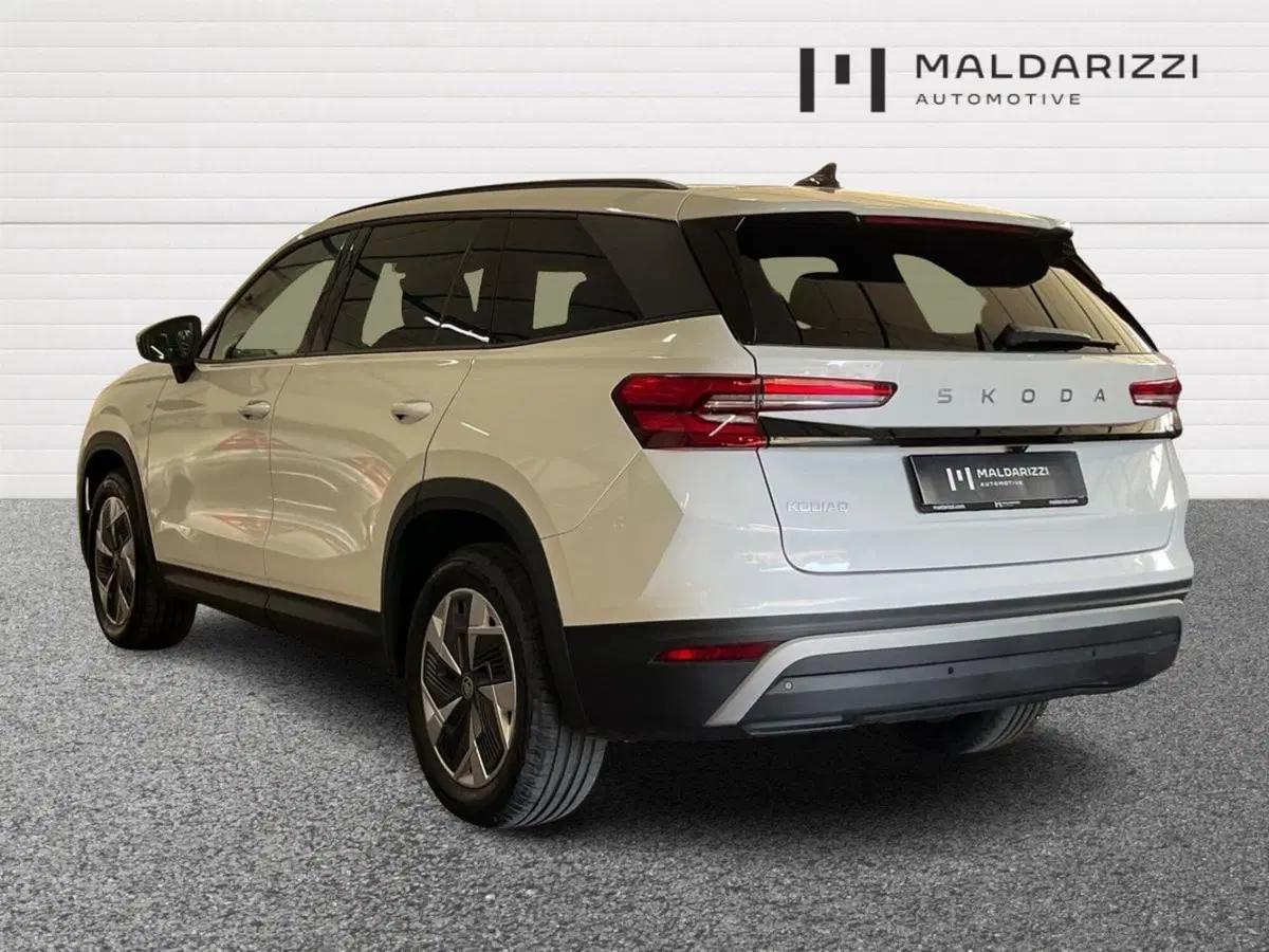 Skoda Kodiaq usata a Bari (4)