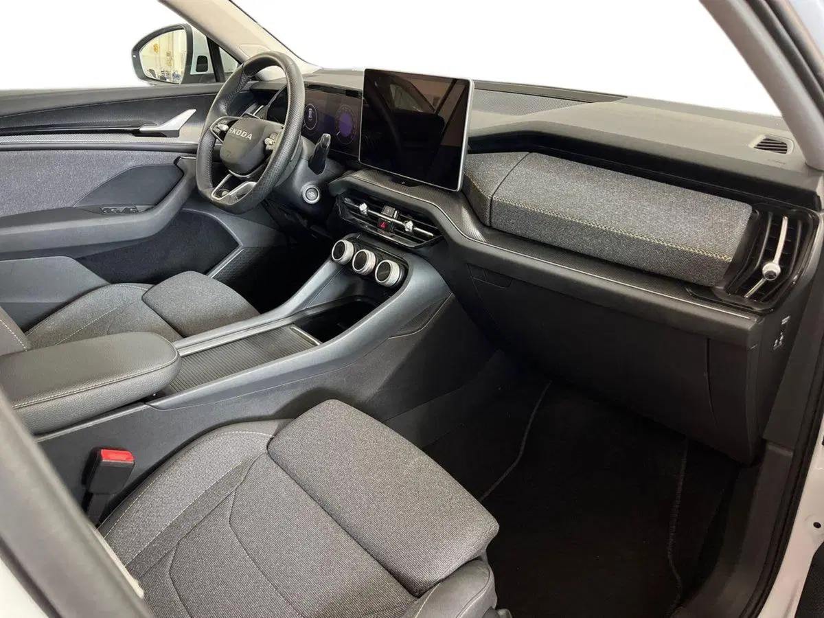 Skoda Kodiaq usata a Bari (9)