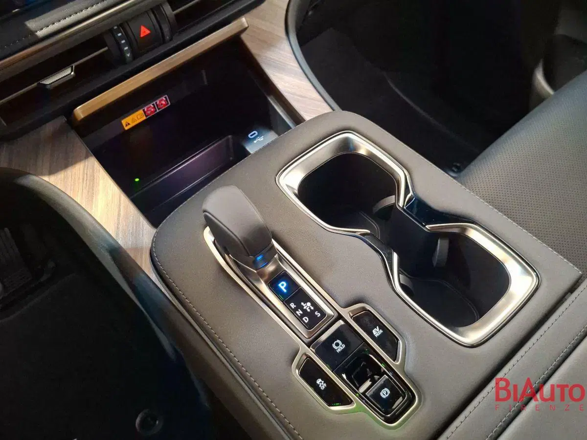Lexus LM nuova a Firenze (17)