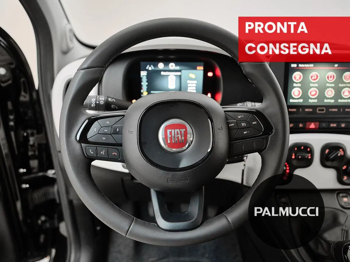Fiat Panda Cross usata a Prato (13)