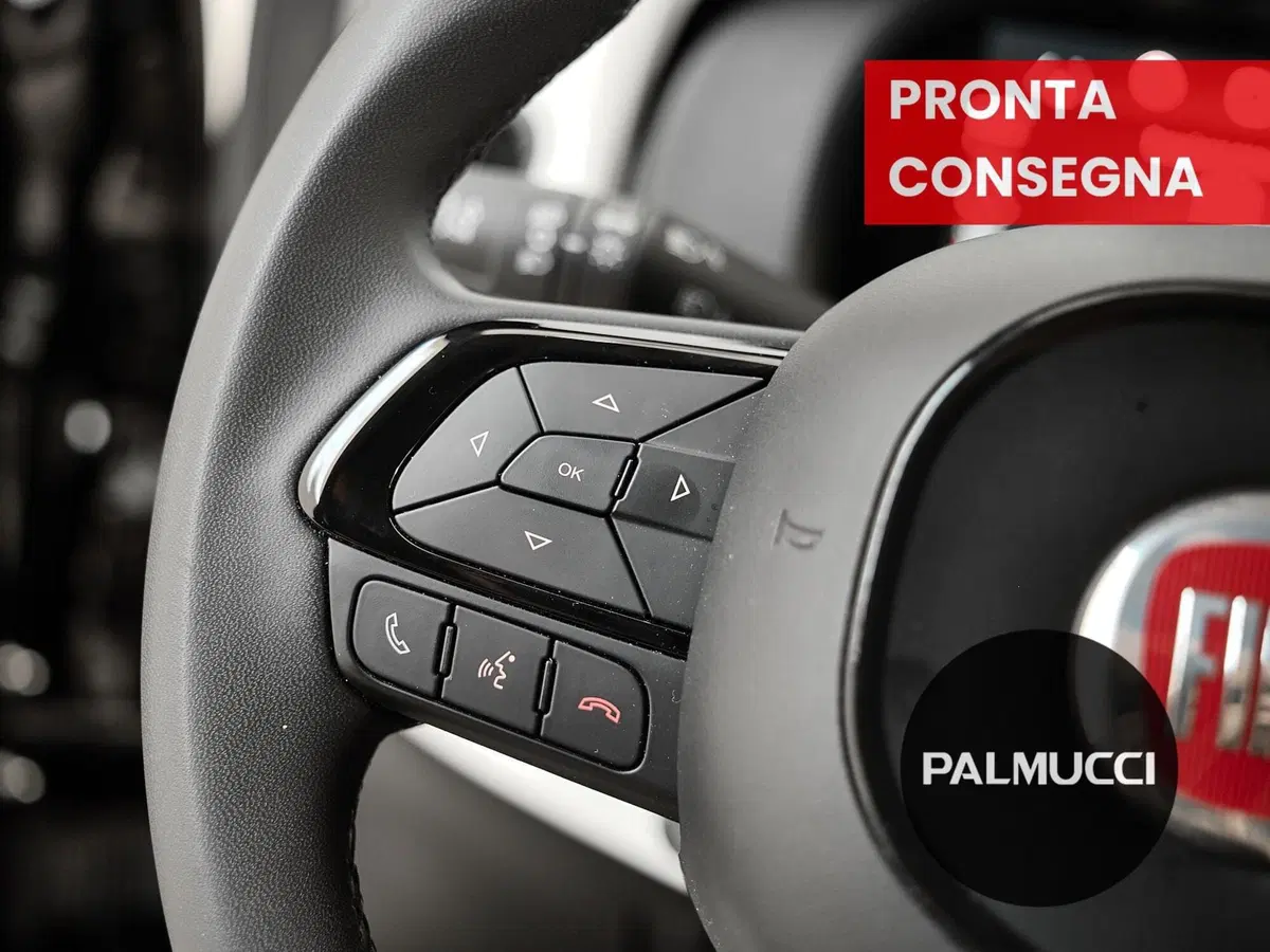 Fiat Panda Cross usata a Prato (18)