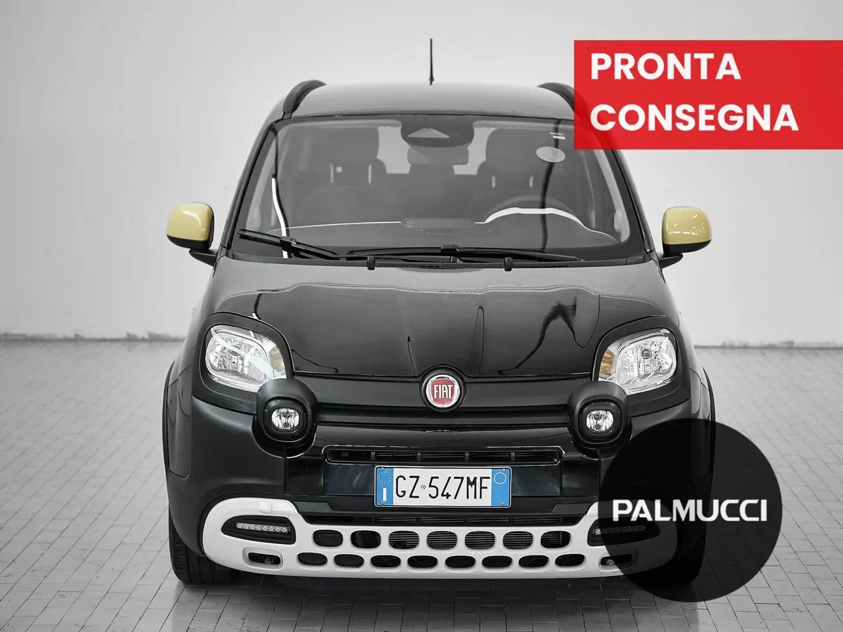 Fiat Panda Cross usata a Prato (2)