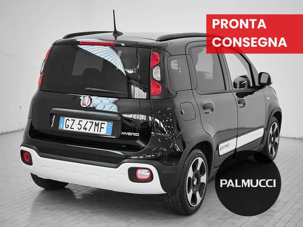 Fiat Panda Cross usata a Prato (3)
