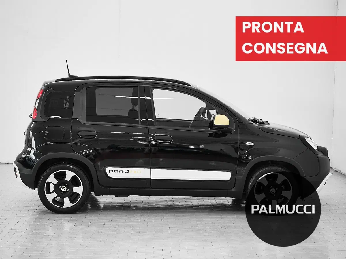 Fiat Panda Cross usata a Prato (4)