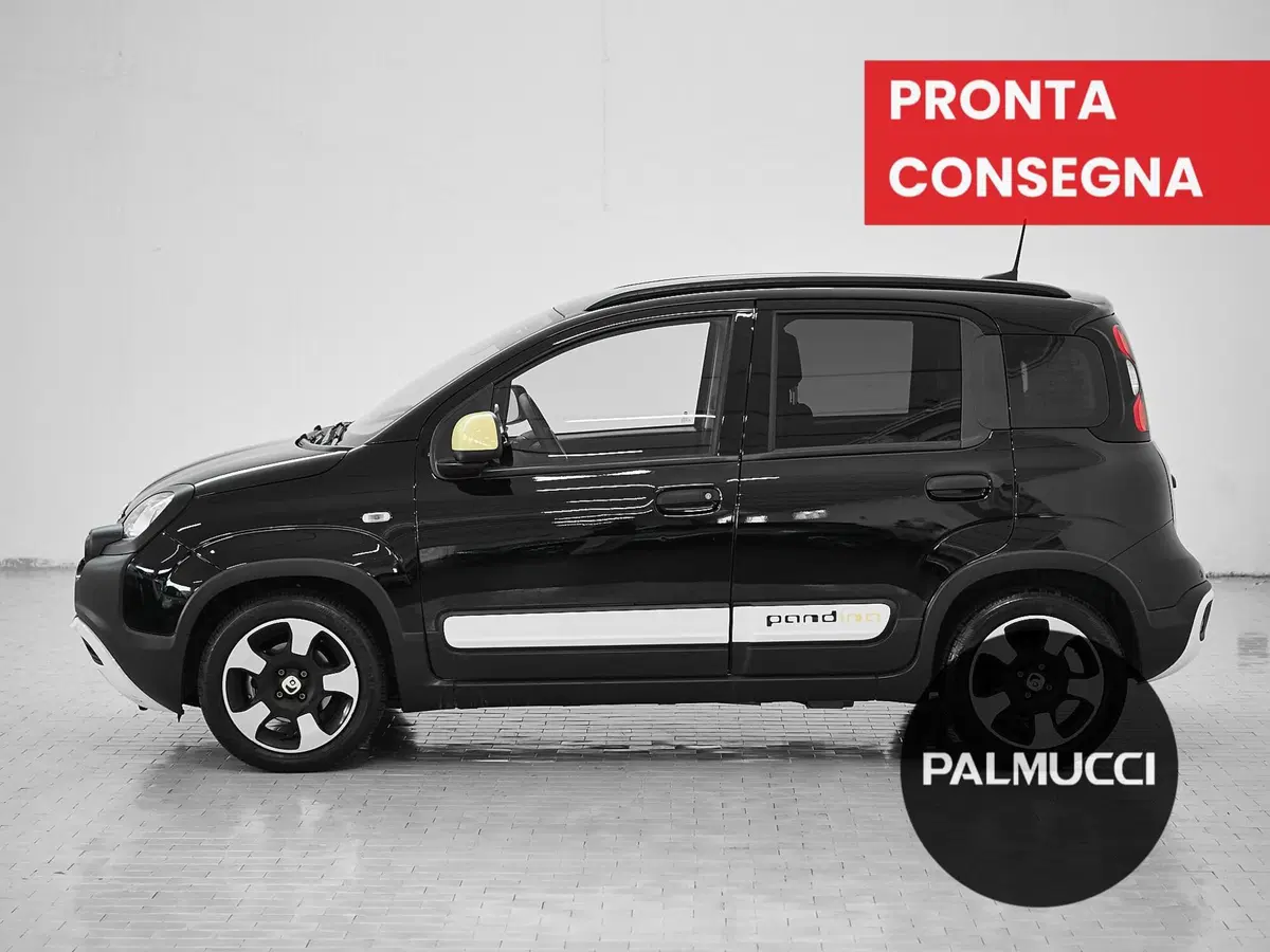 Fiat Panda Cross usata a Prato (5)