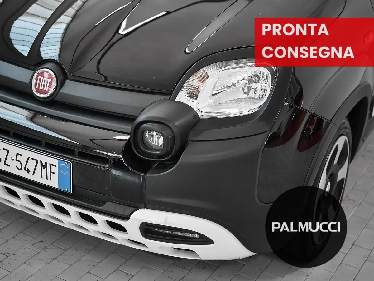 Fiat Panda Cross usata a Prato (8)