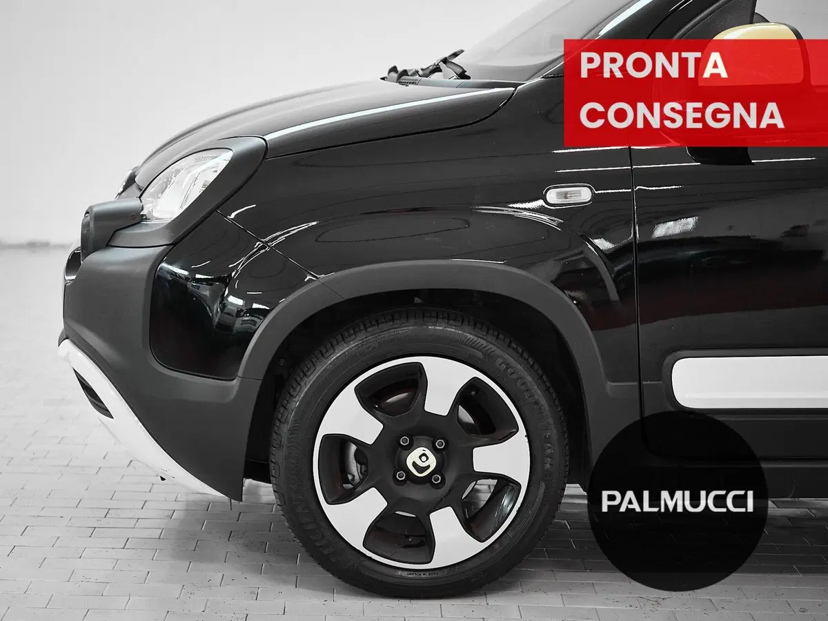 Fiat Panda Cross usata a Prato (9)