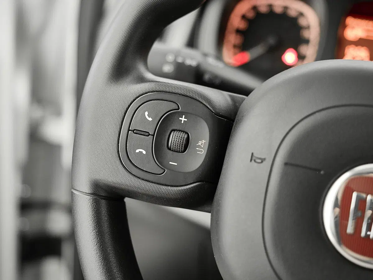 Fiat Panda Cross usata a Prato (10)