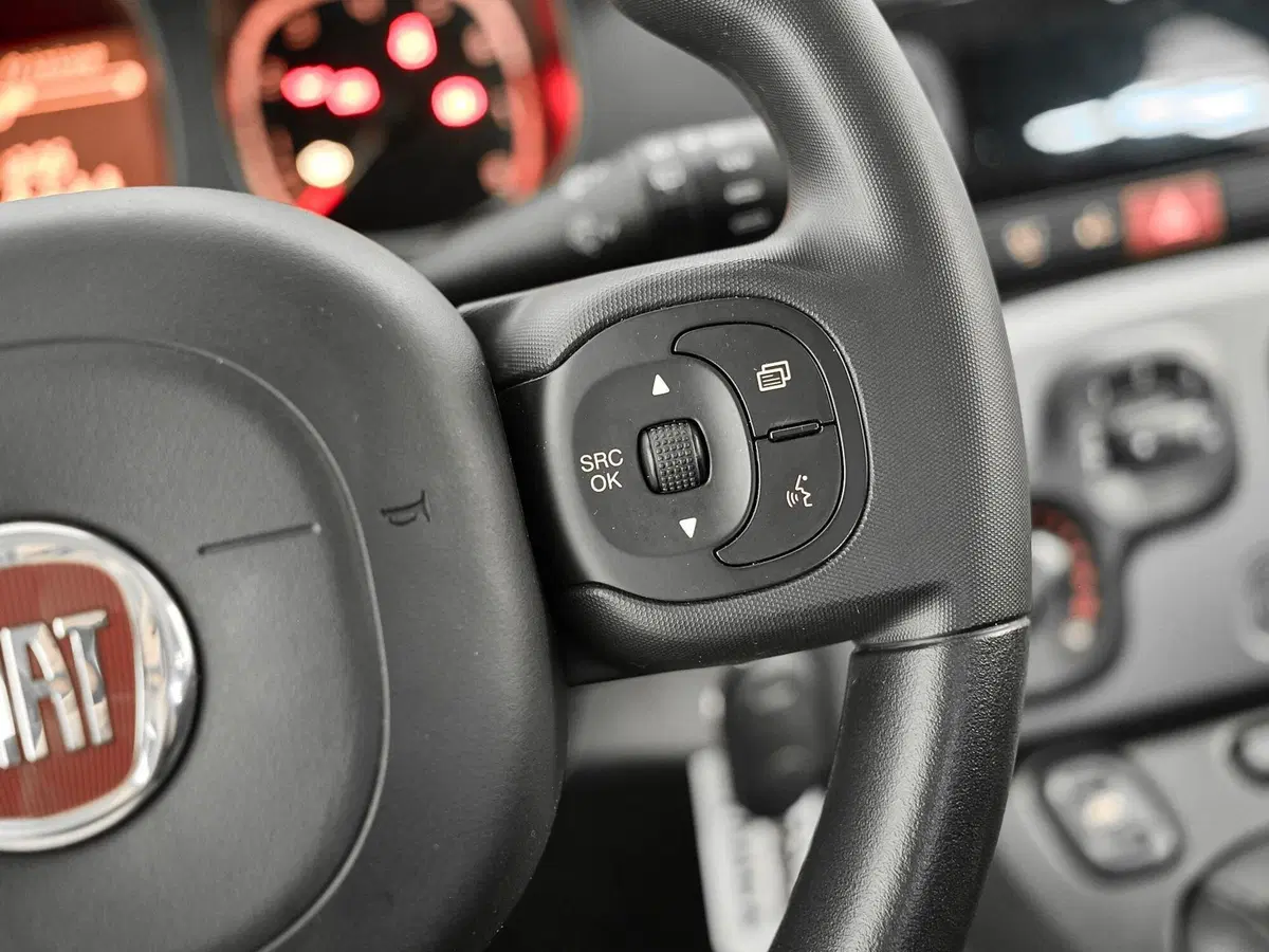 Fiat Panda Cross usata a Prato (11)