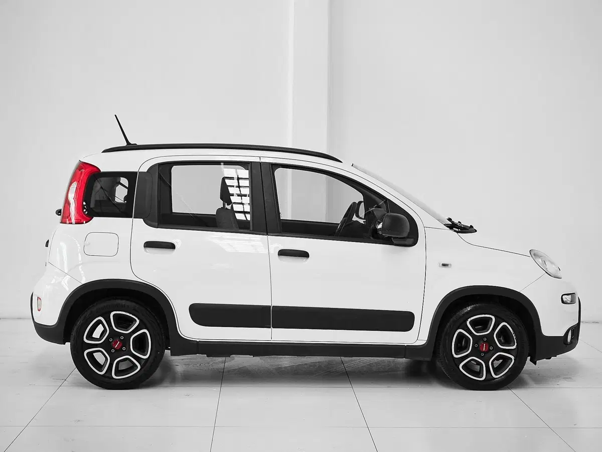Fiat Panda Cross usata a Prato (7)