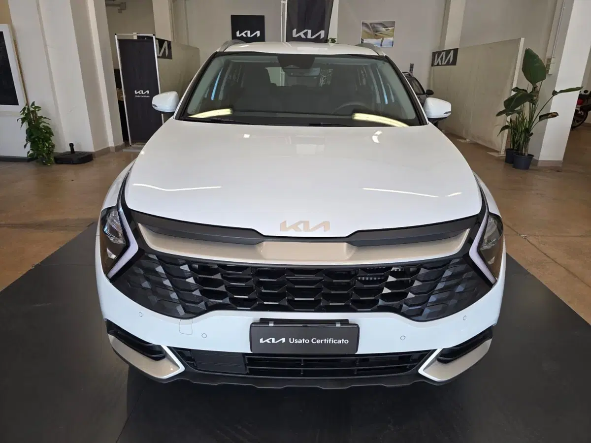 Kia Sportage usata a Rimini (2)
