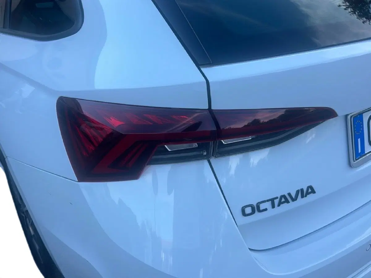 Skoda Octavia Station Wagon usata a Arezzo (10)