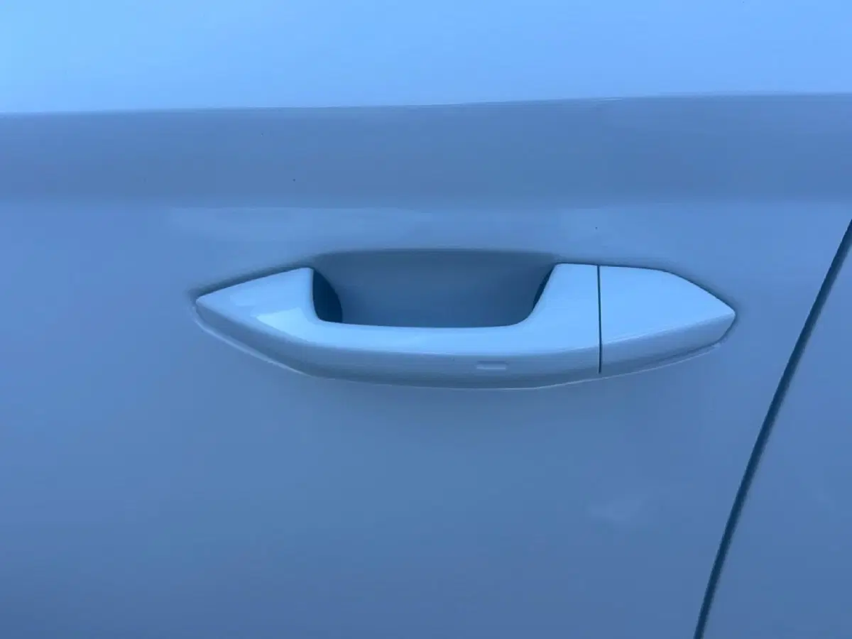 Skoda Octavia Station Wagon usata a Arezzo (11)