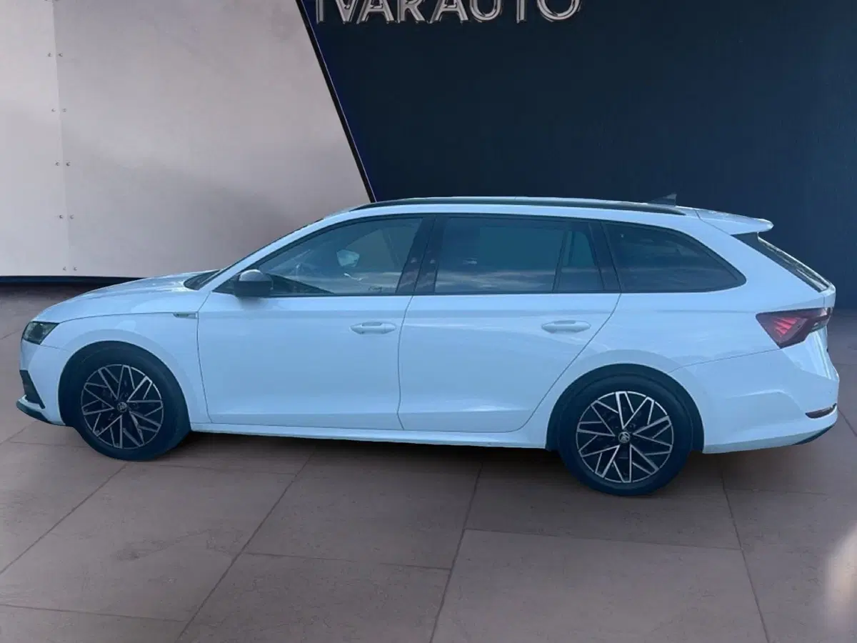 Skoda Octavia Station Wagon usata a Arezzo (2)