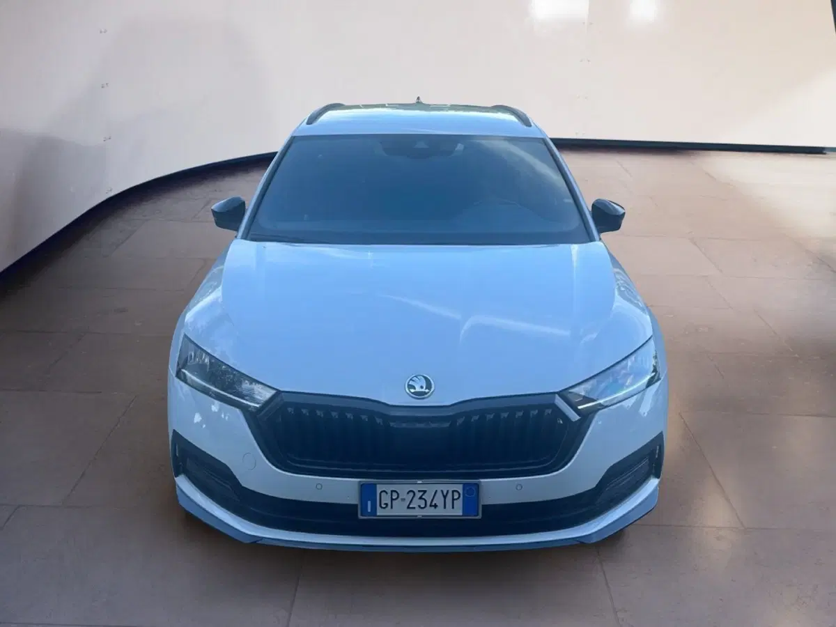 Skoda Octavia Station Wagon usata a Arezzo (5)