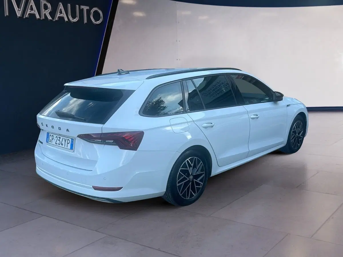 Skoda Octavia Station Wagon usata a Arezzo (6)