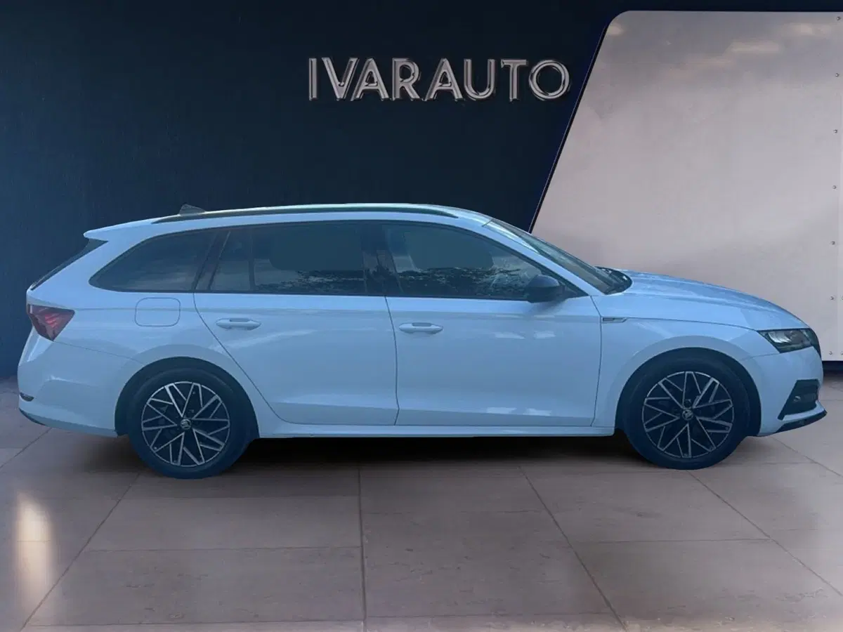 Skoda Octavia Station Wagon usata a Arezzo (7)
