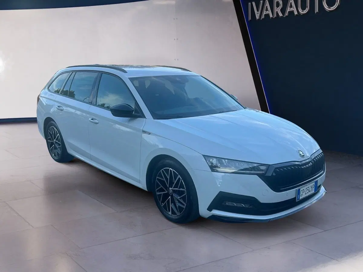 Skoda Octavia Station Wagon usata a Arezzo (8)