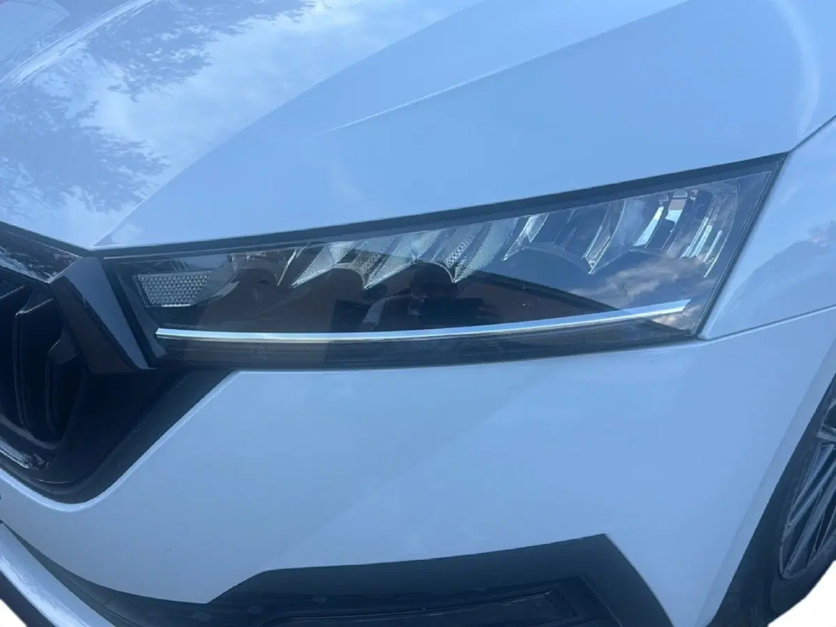 Skoda Octavia Station Wagon usata a Arezzo (9)