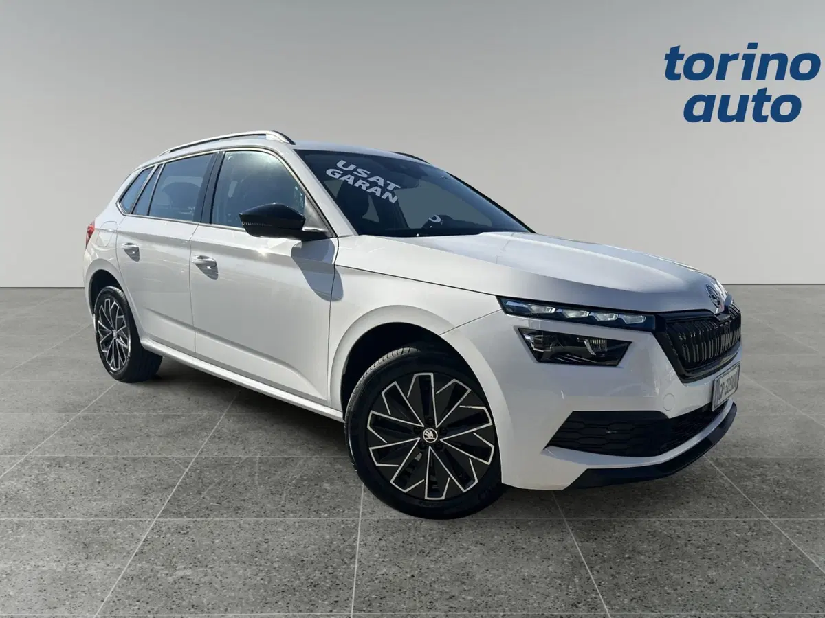 Skoda Kamiq usata a Torino