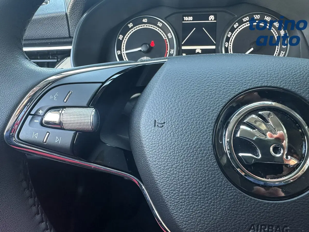 Skoda Kamiq usata a Torino (18)