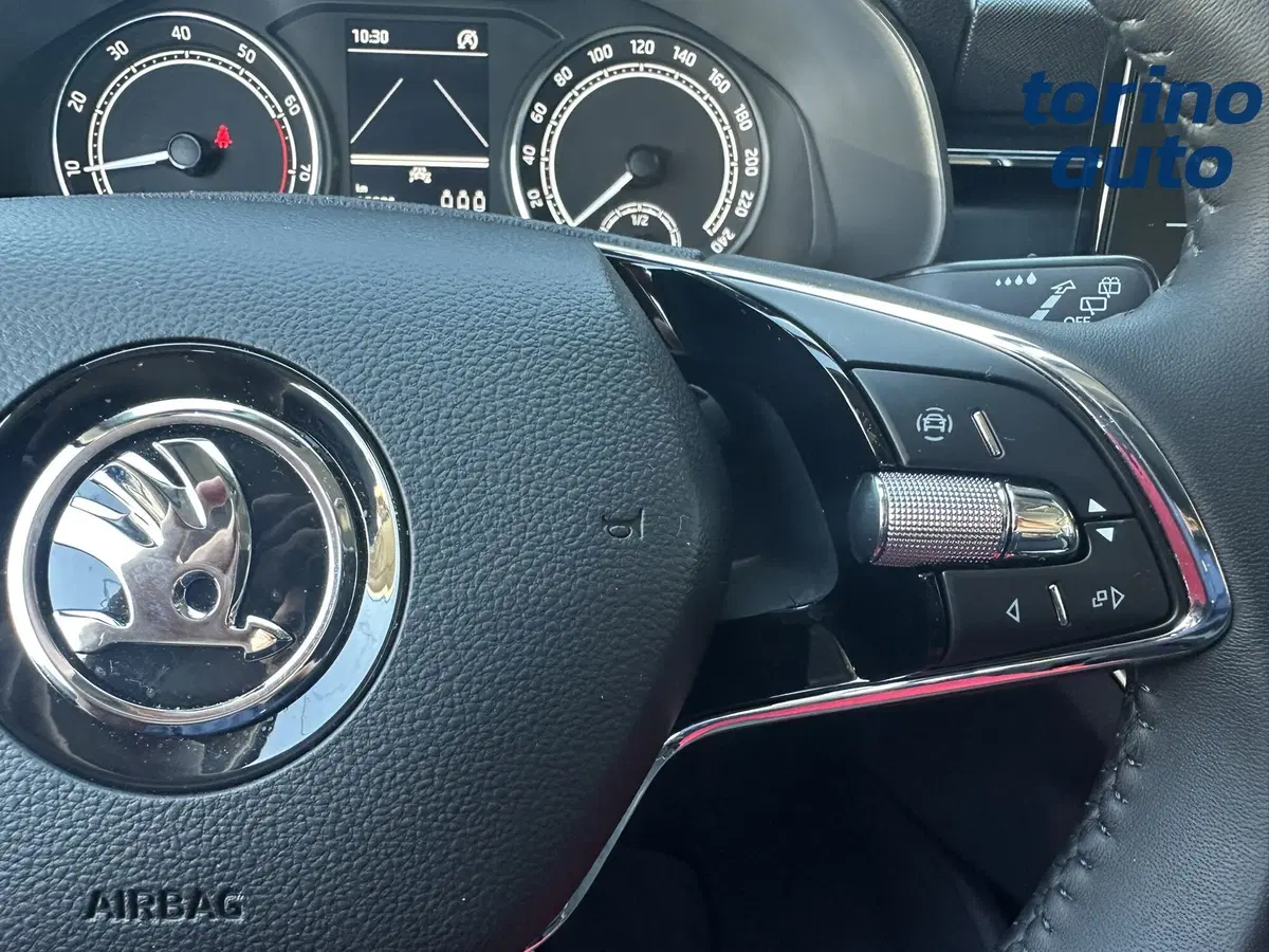 Skoda Kamiq usata a Torino (19)