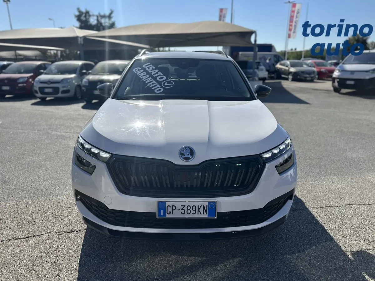 Skoda Kamiq usata a Torino (2)