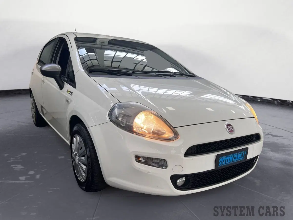 Fiat Punto usata a Monza e Brianza (3)