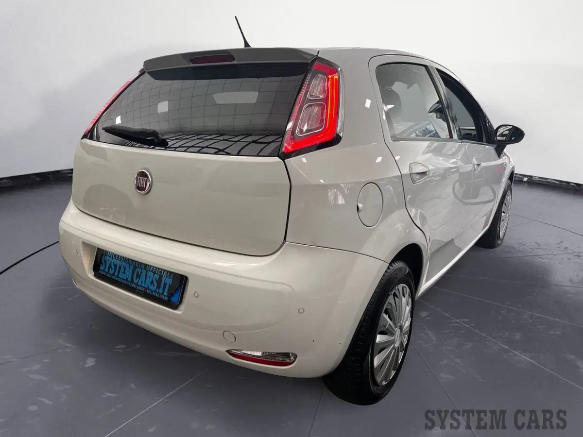 Fiat Punto usata a Monza e Brianza (4)