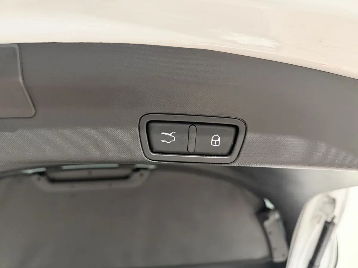 Alfa Romeo Stelvio usata a Genova (19)