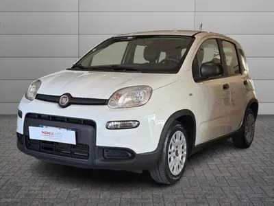 Fiat Panda 1.0 firefly hybrid s&s 70cv del 2024 usata a Sassari