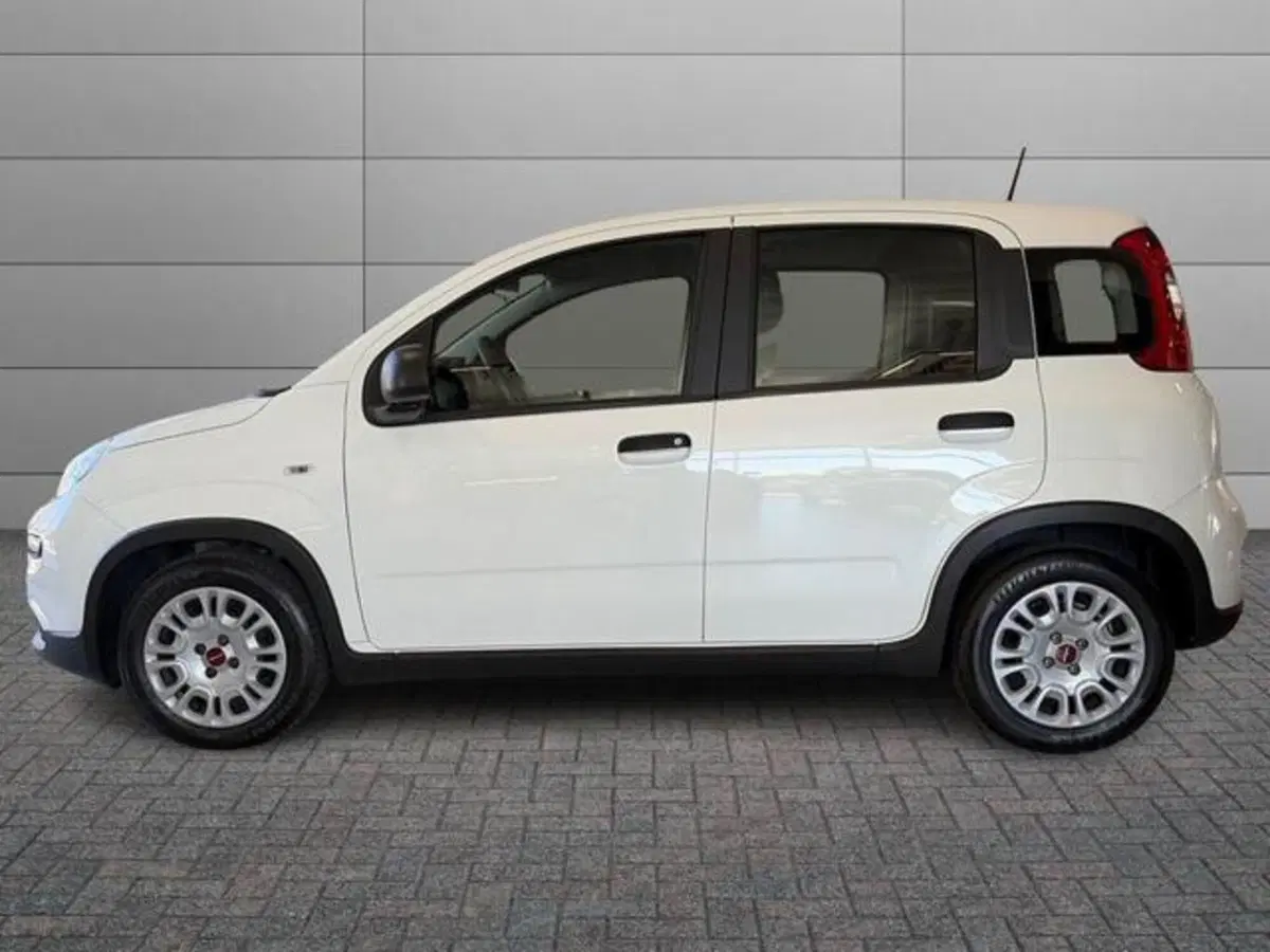Fiat Panda usata a Sassari (2)