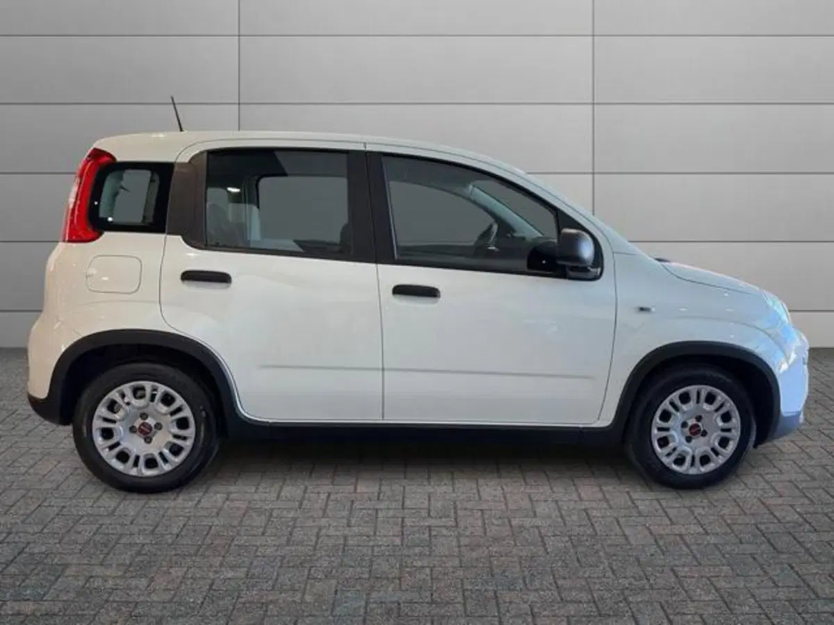 Fiat Panda usata a Sassari (3)