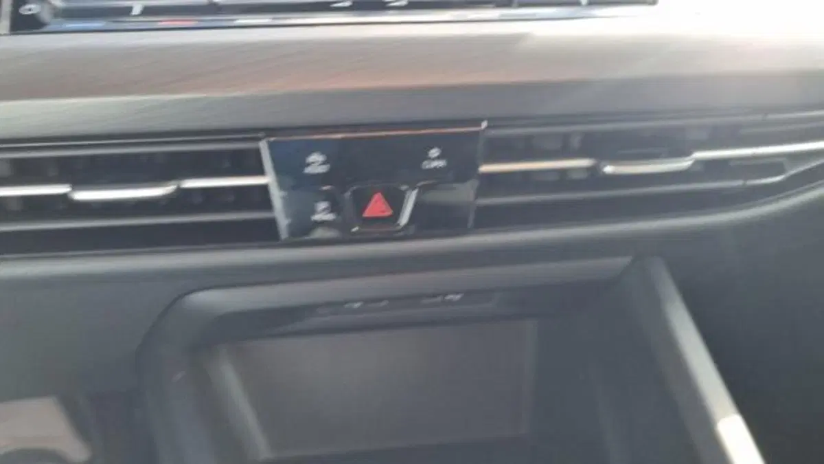 Volkswagen Golf usata a Savona (13)