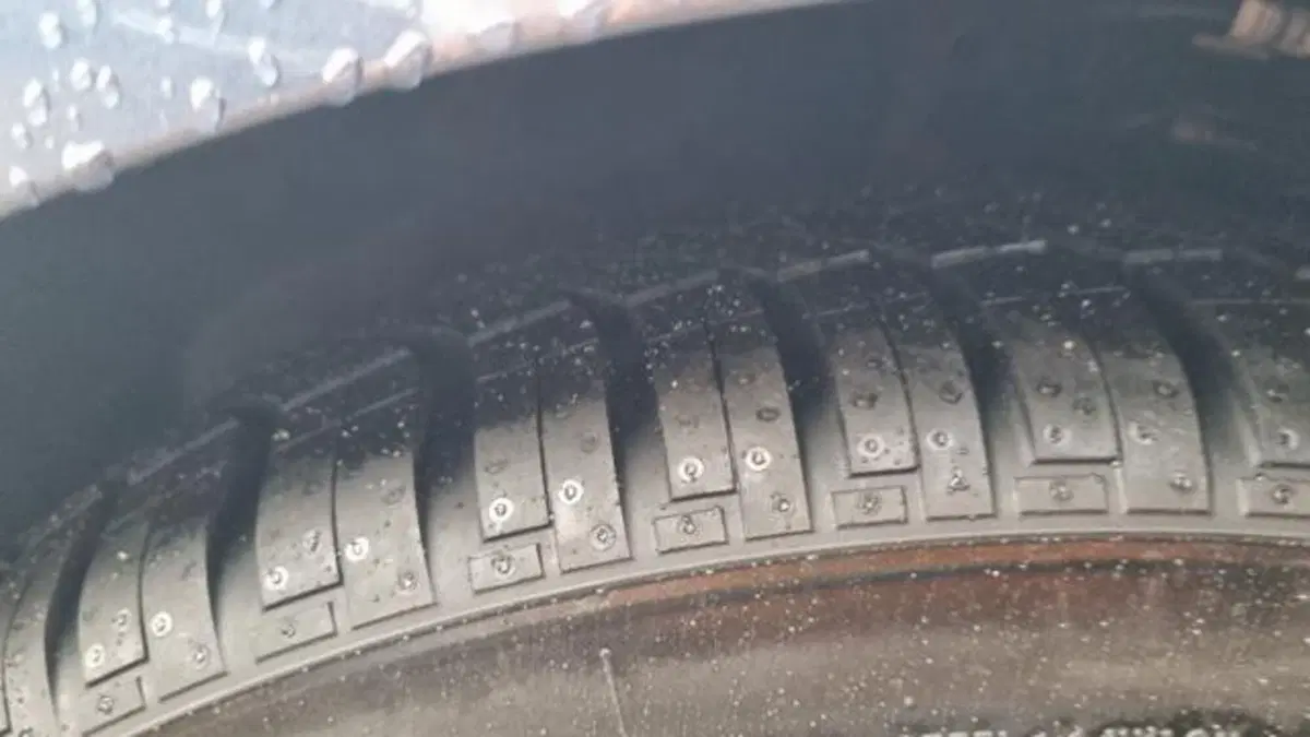 Ford Fiesta usata a Savona (18)