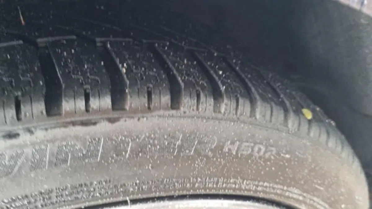 Ford Fiesta usata a Savona (20)