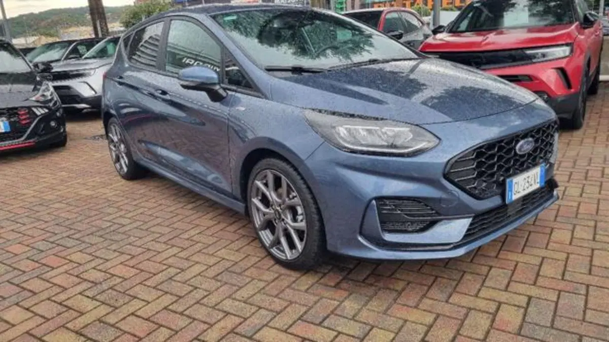 Ford Fiesta usata a Savona (3)