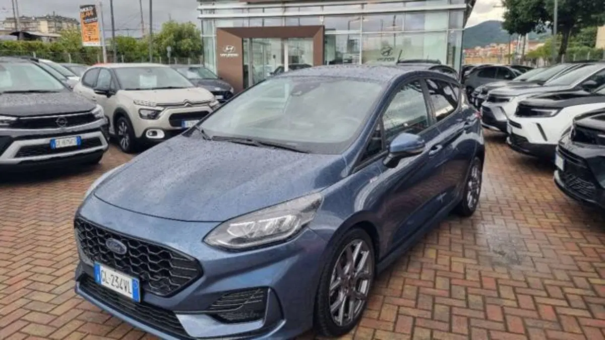 Ford Fiesta usata a Savona (5)