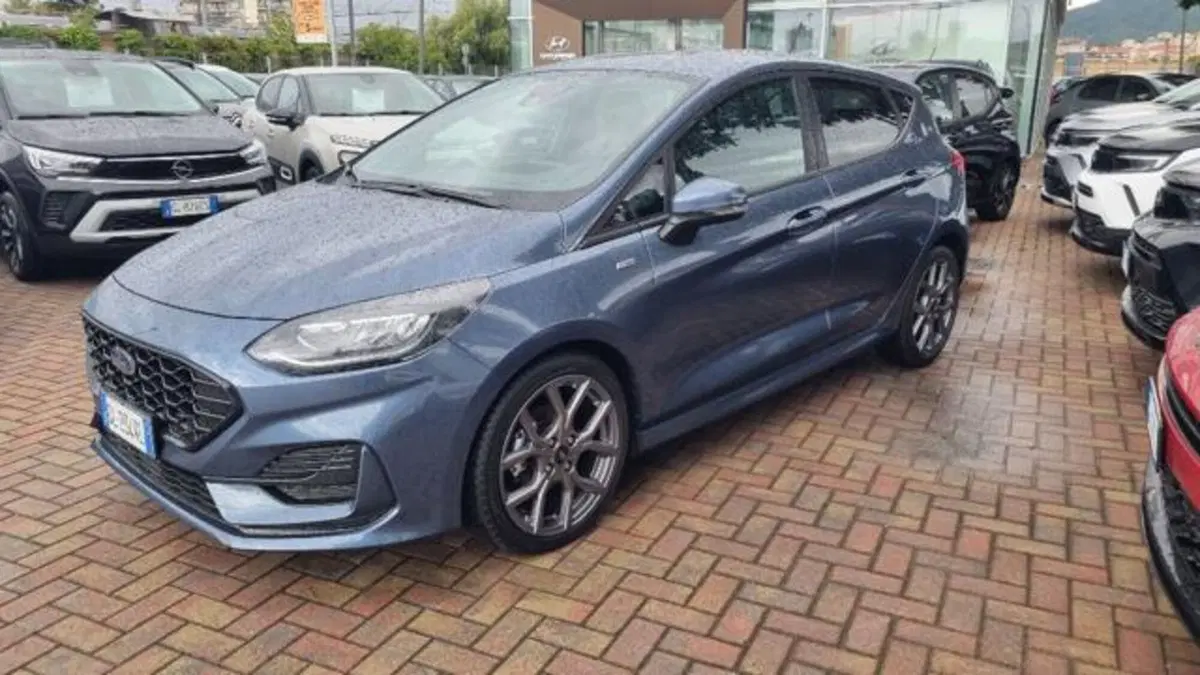 Ford Fiesta usata a Savona (6)