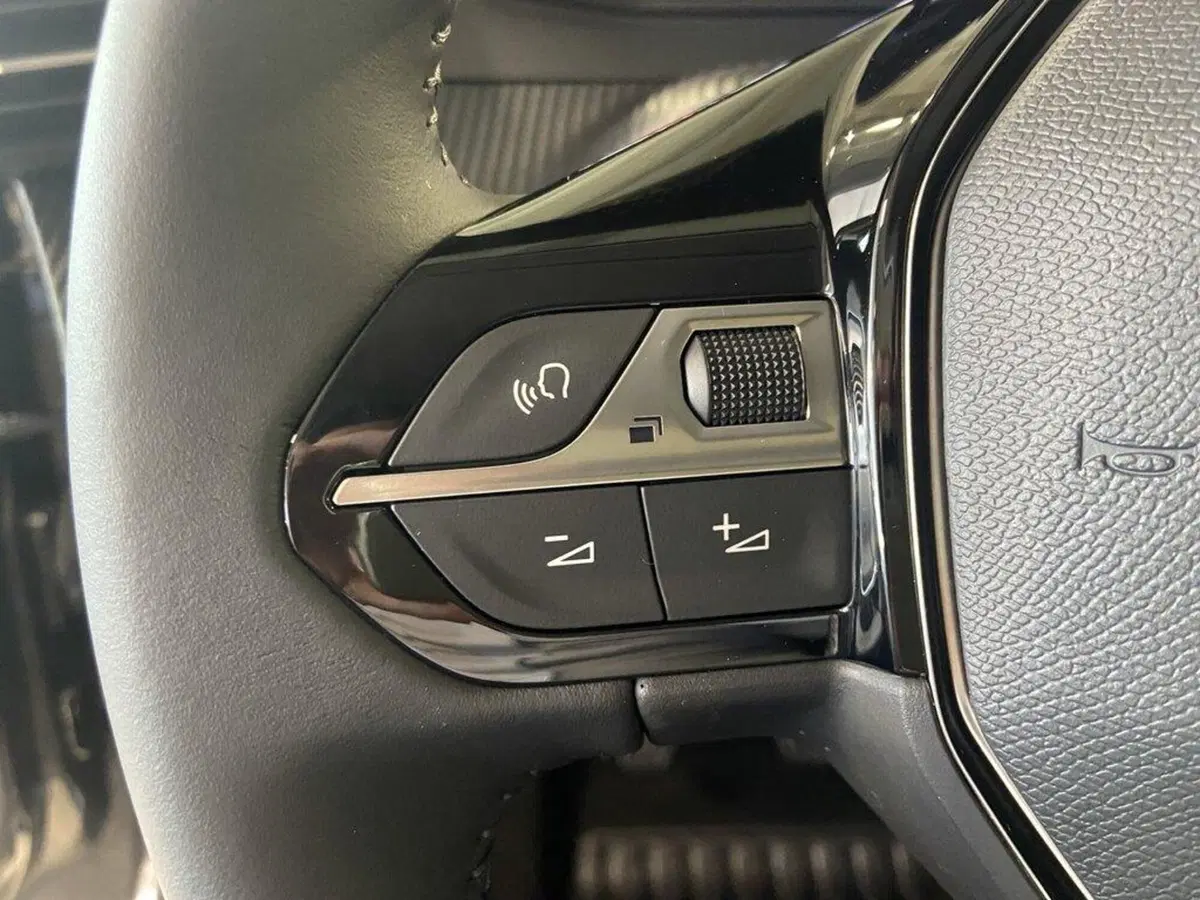 Peugeot 208 usata a Torino (13)