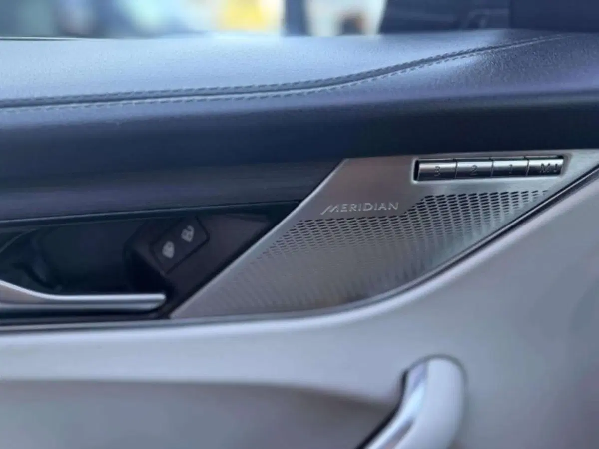 Jaguar F-Pace usata a Siena (14)