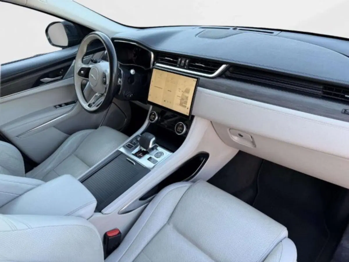 Jaguar F-Pace usata a Siena (17)