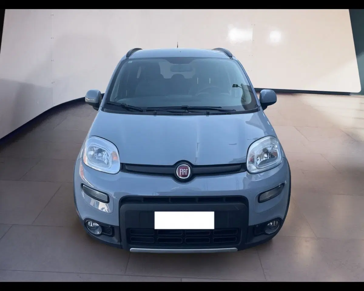 Fiat Panda usata a Torino