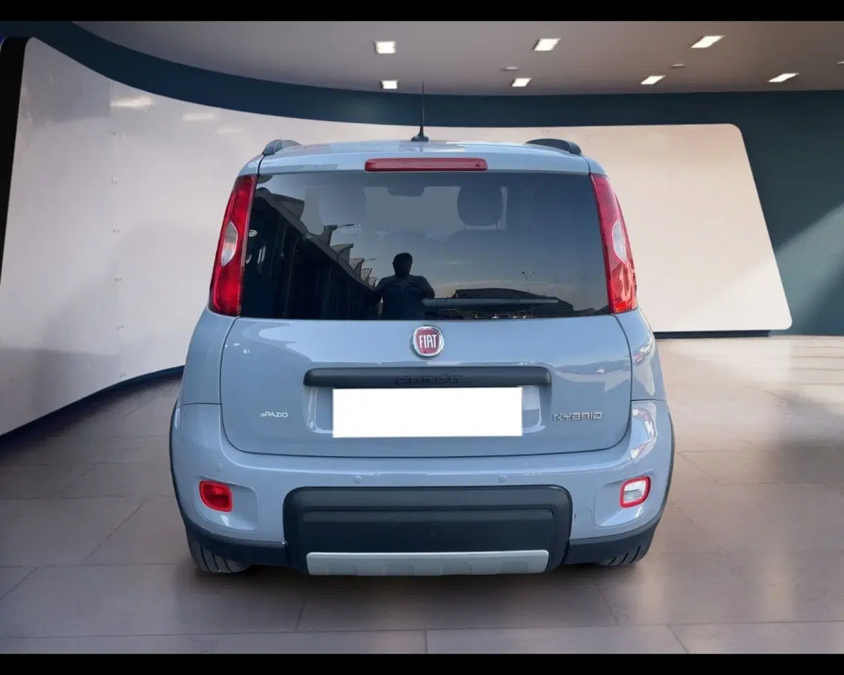 Fiat Panda usata a Torino (10)