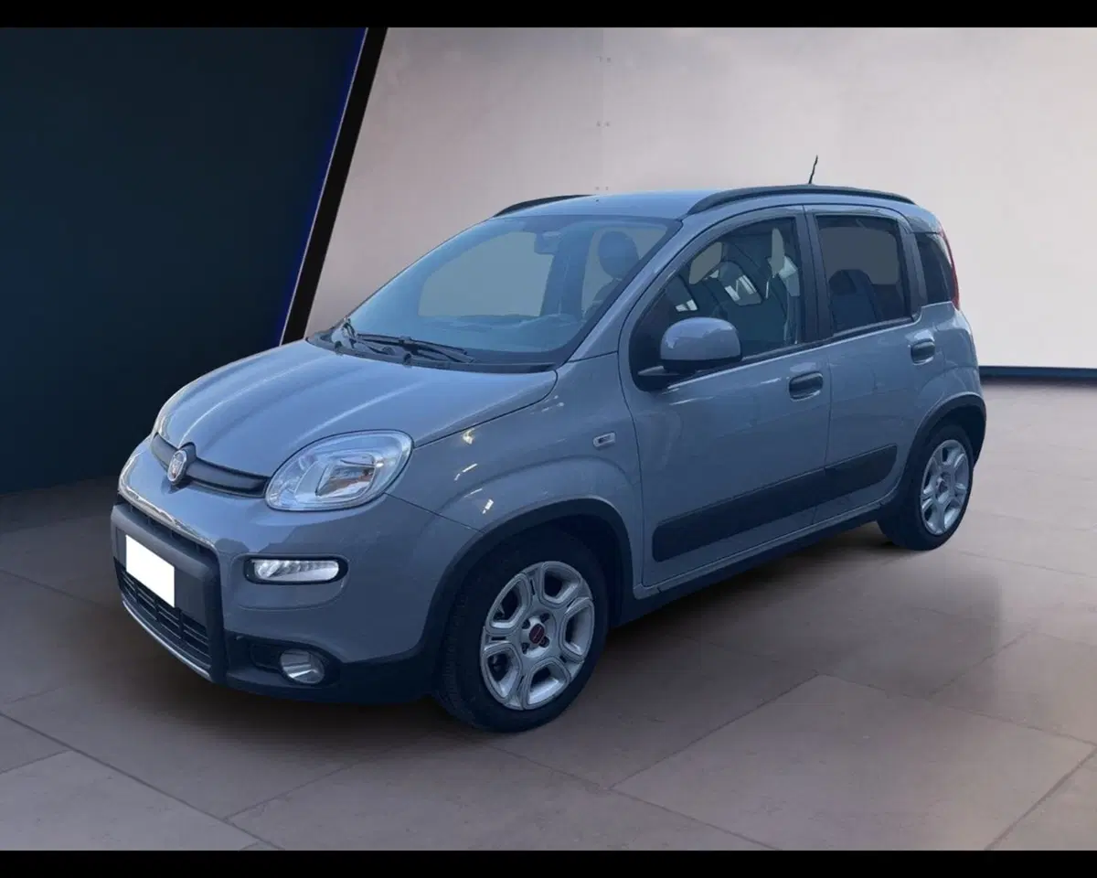 Fiat Panda usata a Torino (7)