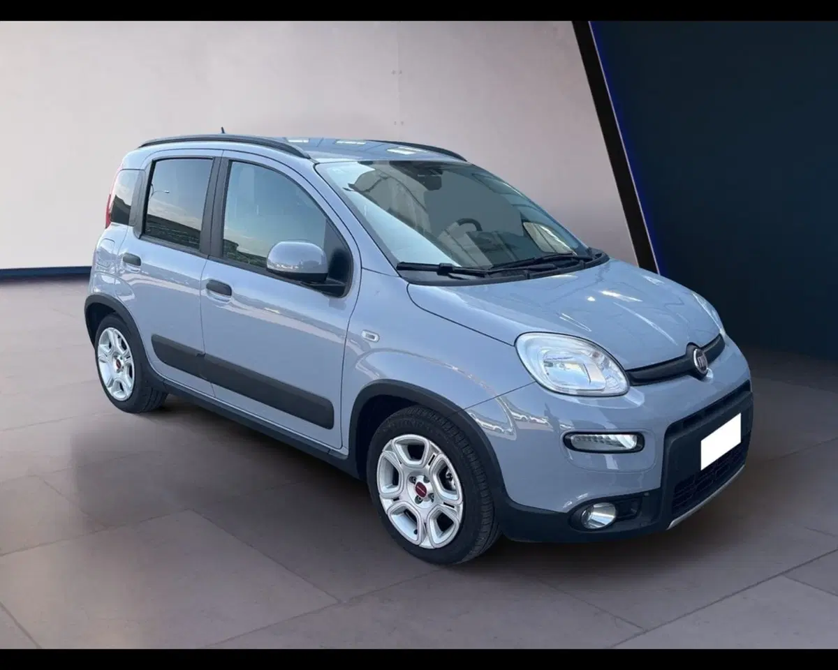 Fiat Panda usata a Torino (8)