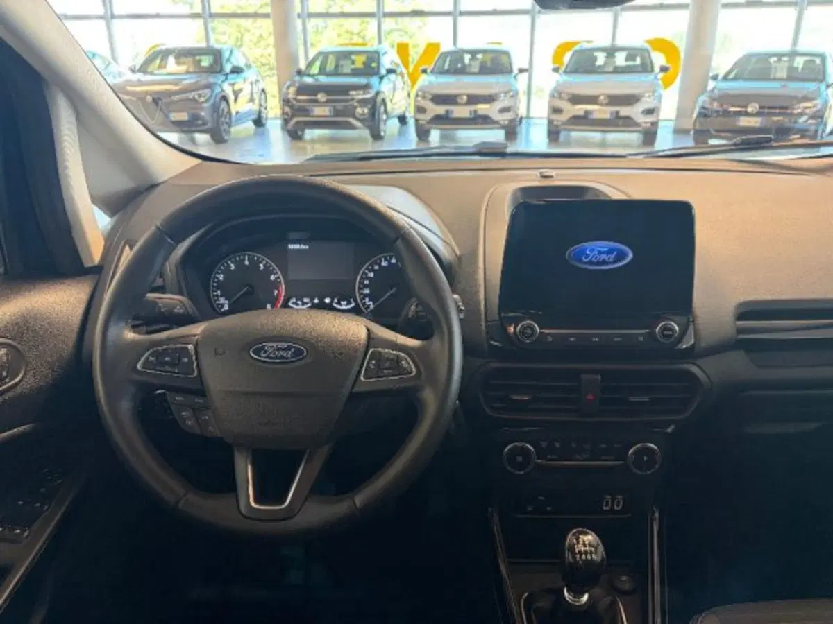 Ford EcoSport usata a Cuneo (7)