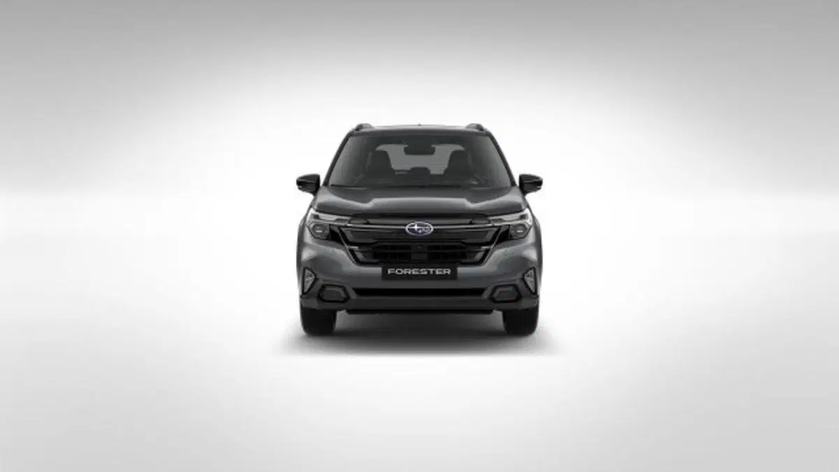 Subaru Forester nuova a Novara (2)