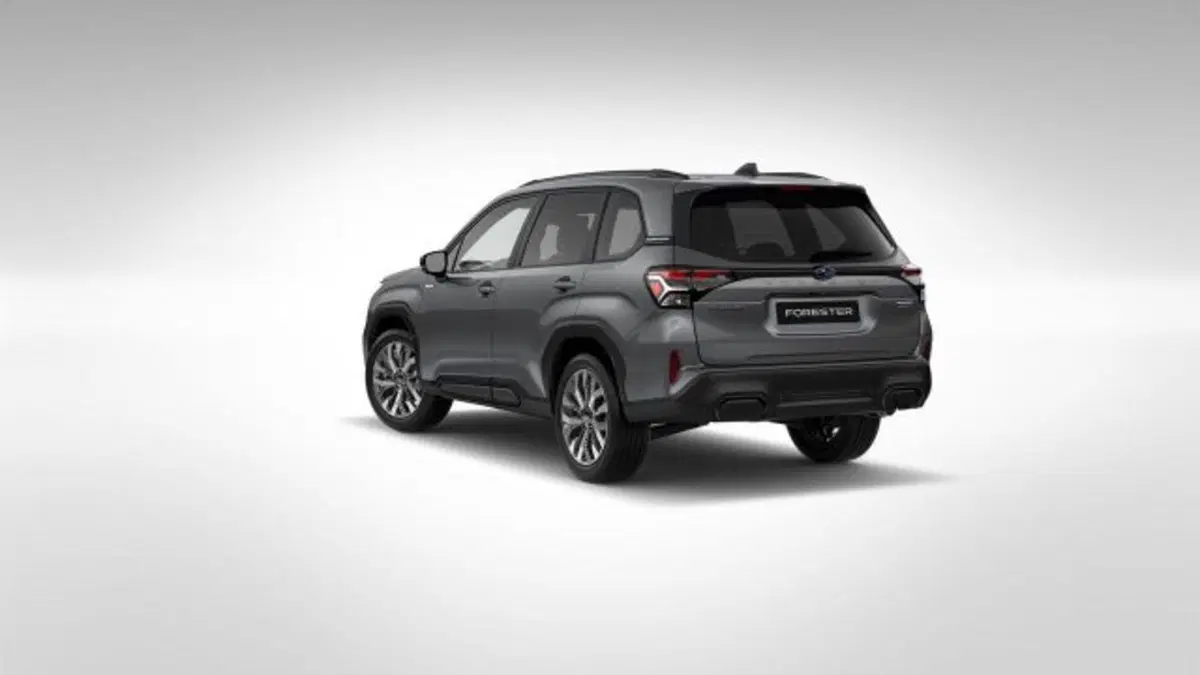 Subaru Forester nuova a Novara (3)